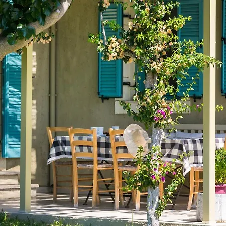 Gaia 스보로나타