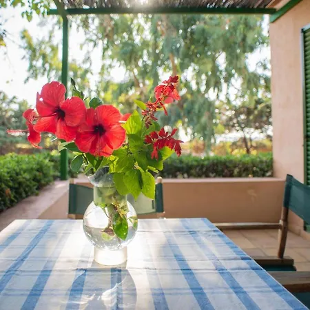 Gaia 스보로나타